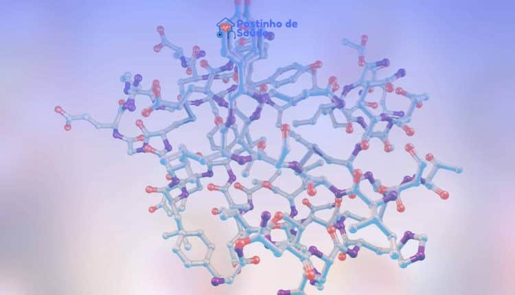 como funciona o metabolismo acelerado e como o pré treino pode ajudar
